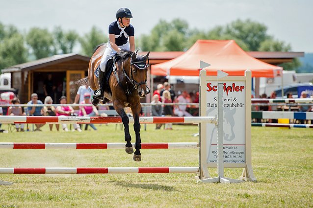 Bild: Reitturnier des Sportverein " Diamantene Aue" Ringleben - 2017