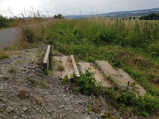 Bild: Auf dem Radweg unterwegs