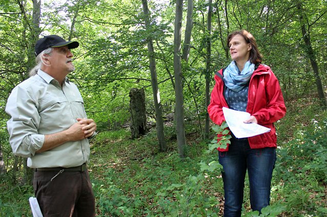 Bild: Waldbegehung am Possen im unterschiedlicher Resonanz