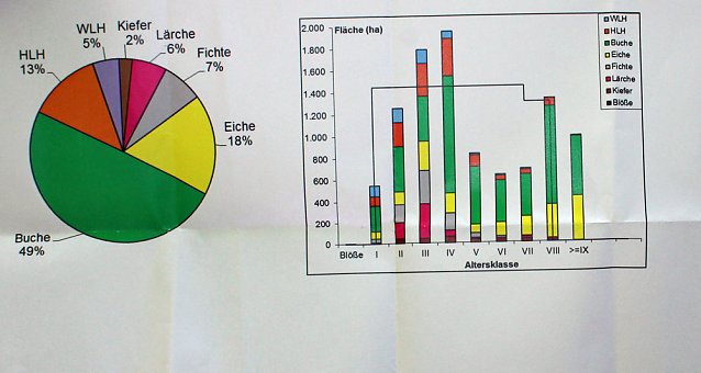 Bild: Waldbegehung mit Siegesmund und Kieling