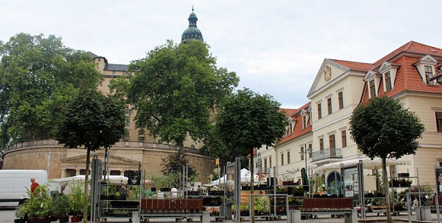 Bild: Sondersh&auml;user Blumen-, Pflanzen- und Staudenmarkt