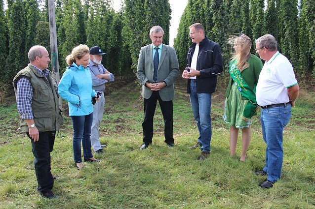 Bild: Start der Hopfenernte in Gro&szlig;enehrich