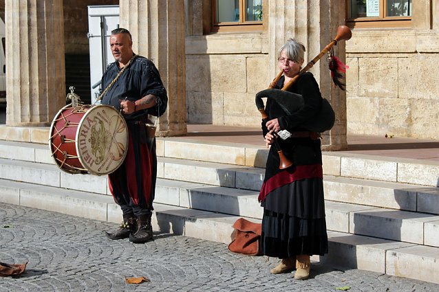Bild: Pflanzenmarkt in Sondershausen