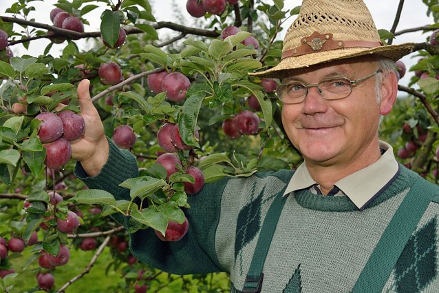 Bild: Apfel- und Wildobstwochen in der Hohen Schrecke
