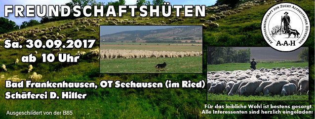 Bild: 14. Freundschaftsh&uuml;ten in Seehausen