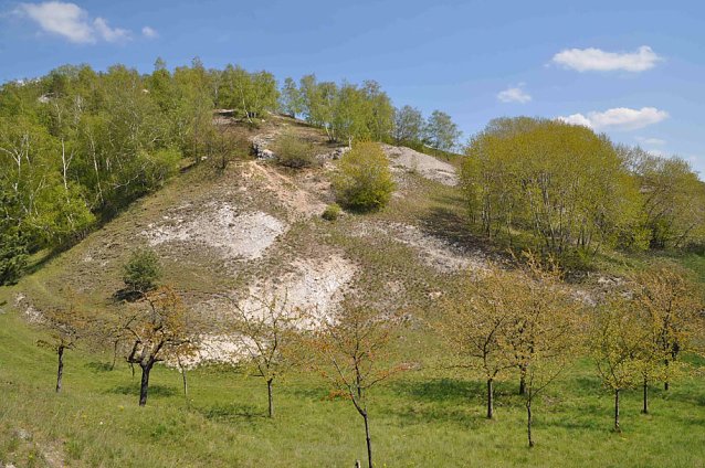 Bild: Europ&auml;ische Schutzgebiete in der Kyffh&auml;userregion