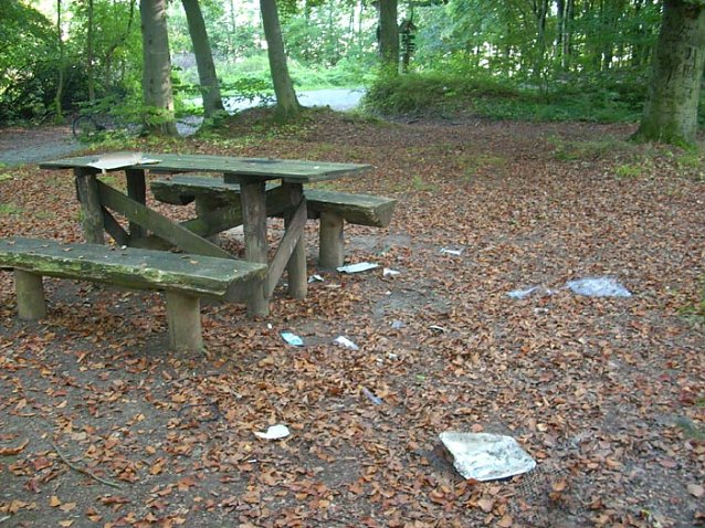 Bild: M&uuml;ll im Wald