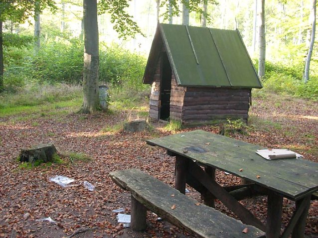 Bild: M&uuml;ll im Wald
