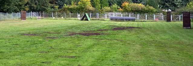 Bild: Arbeitseinsatz auf dem Hundeplatz an der Trift