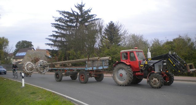 Bild: Neue Storchennester in Seehausen