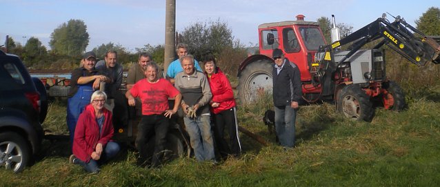 Bild: Neue Storchennester in Seehausen