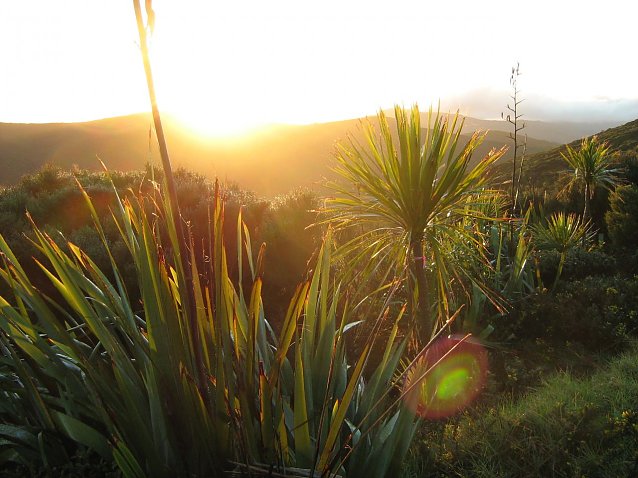 Bild: Neuseeland