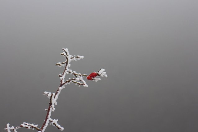 Bild: Wetterbild