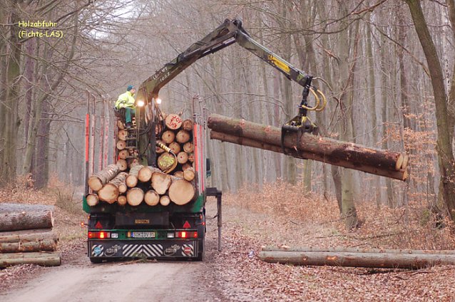 Bild: Holzabfuhr aus dem Wald