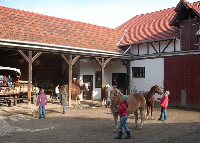 Bild: Ferien auf dem Bauernhof