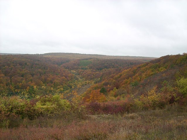 Bild: Indian Summer auf dem Frauenberg