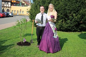Bild: Jungbiber knabbert an Brennessel