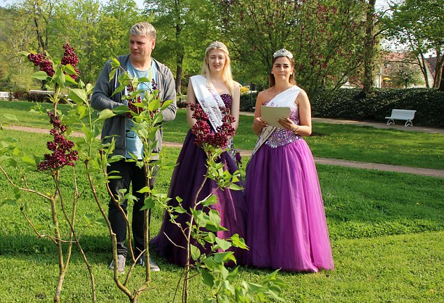 Bild: Fr&uuml;hjahrsputz in Bad Frankenhausen