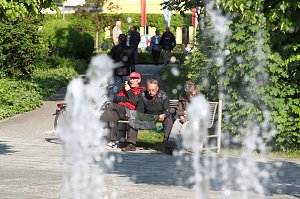 Bild: Gro&szlig;e Fliederbaumplanzaktion in Bad Frankenhausen
