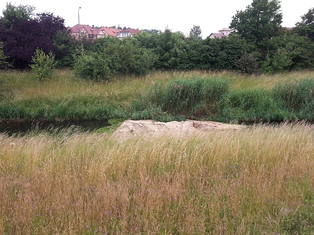 Bild: Wipper