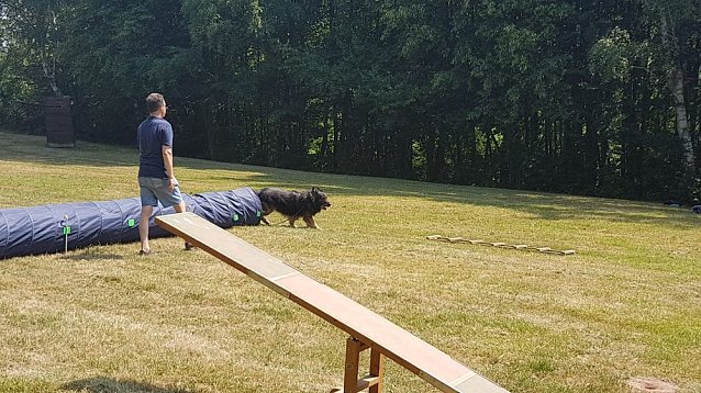 Bild: Der Tag des Hundes wurde auf der Trift gefeiert