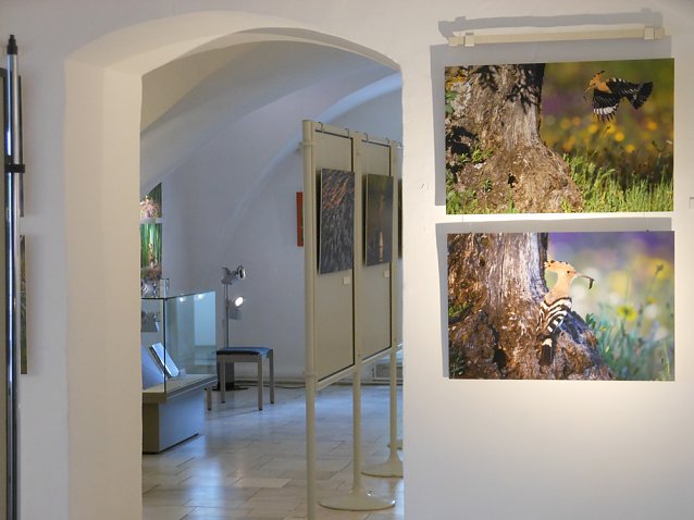 Bild: Sonderausstellung endet am Sonntag