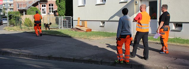 Bild: Rettungshunde in Sondershausen unterwegs
