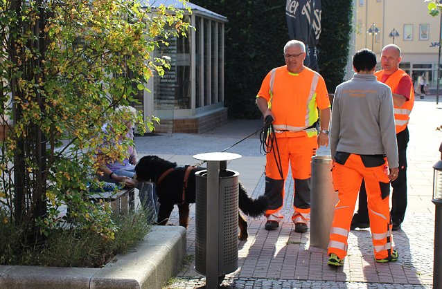 Bild: Rettungshunde in Sondershausen unterwegs