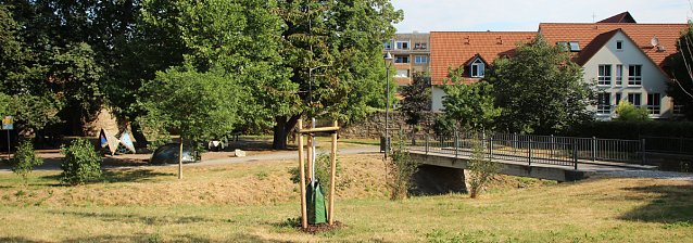 Bild: Sinnloser Vandalismus