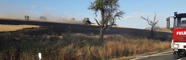 Bild: Fl&auml;chenbrand fordert Einsatzkr&auml;fte nahe Wasserthaleben