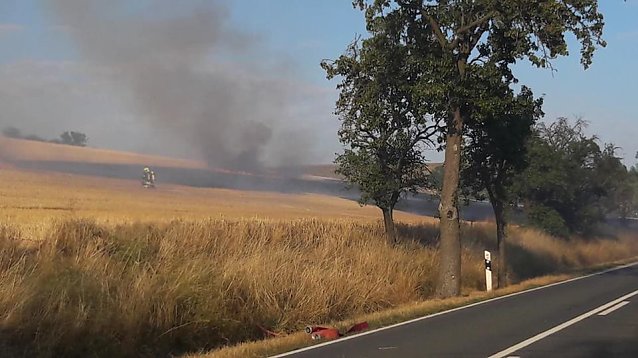 Bild: Fl&auml;chenbrand fordert Einsatzkr&auml;fte nahe Wasserthaleben