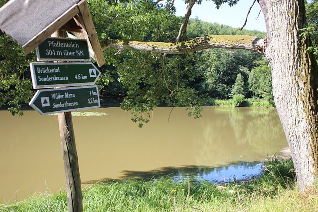 Bild: Wie sieht es am Pfaffenteich aus?