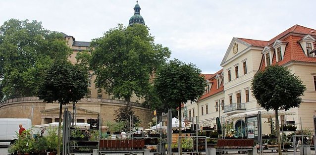 Bild: Sondersh&auml;user Blumen-, Pflanzen- und Staudenmarkt