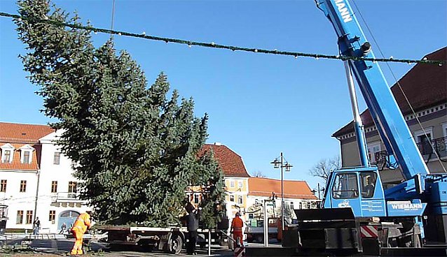 Bild: Weihnachtsbaum Sondershausen