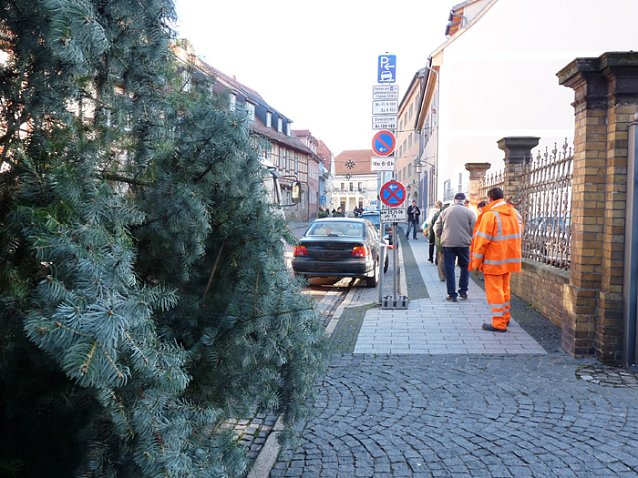 Bild: Weihnachtsbaum Sondershausen