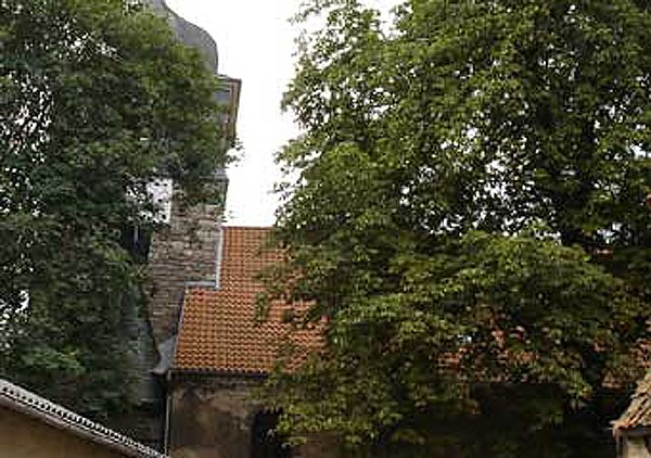 Bild: Musiksch&uuml;ler zu Gast in Westgreu&szlig;ener Kirche