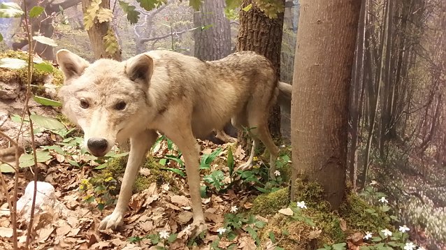 Bild: Herbstferien im Regionalmuseum Teil 2