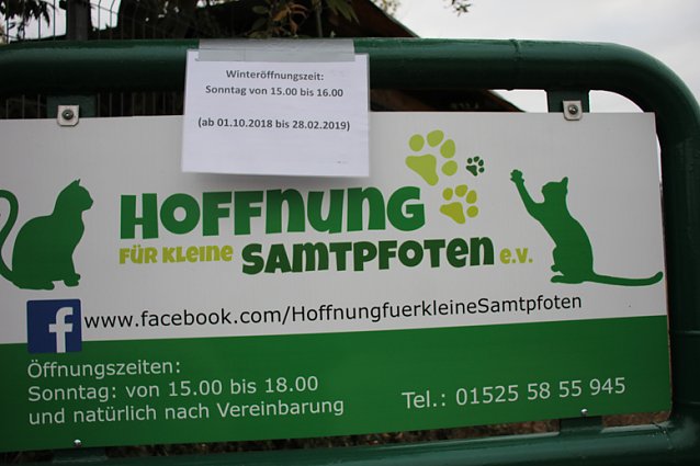 Bild: Neue Unterkunft f&uuml;r Katzen