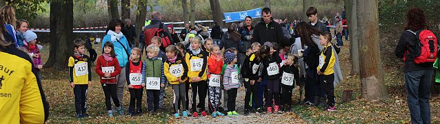 Bild: Stadtparklauf in Sondershausen (1)