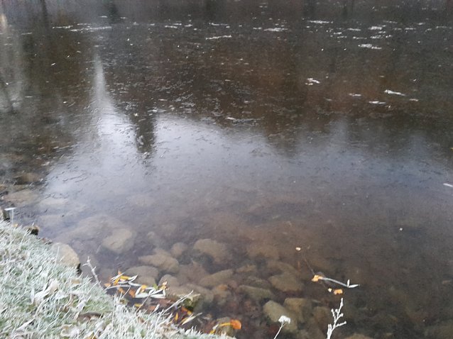 Bild: Der Winter zeigte sich