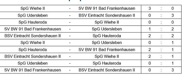 Bild: Hallenkreismeisterschaft D-Junioren