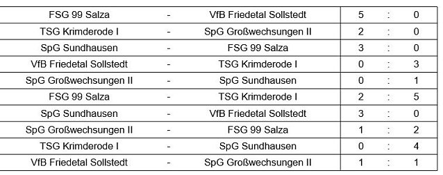 Bild: Hallenkreismeisterschaft D-Junioren