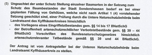 Bild: Mehr Sicherheit beim Baumf&auml;llen