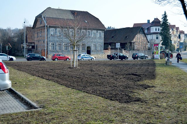Bild: Bl&uuml;hwiese wird angelegt