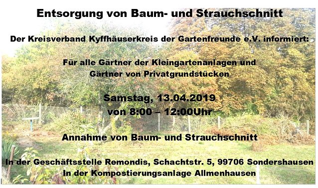 Bild: Entsorgung von Baum- und Strauchschnitt