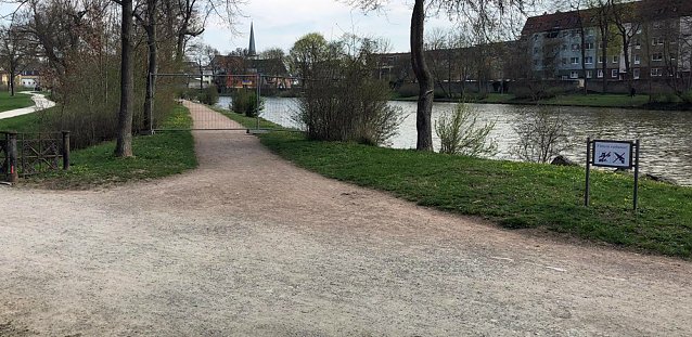 Bild: Schw&auml;ne residieren im Schlosspark Sondershausen �