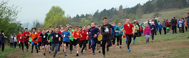 Bild: Gl&uuml;ckliche Sieger beim Crosslauf der Schulen