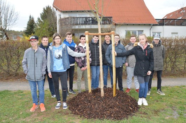 Bild: Jugendweihebaum Nr. 9