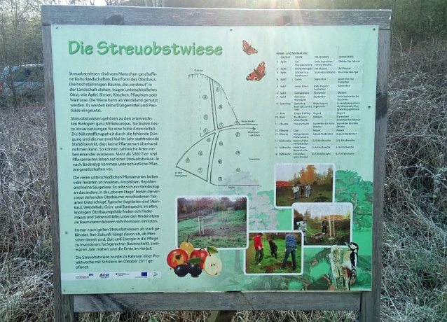 Bild: Streuobstwiese aus dem Dornr&ouml;schenschlaf erwacht