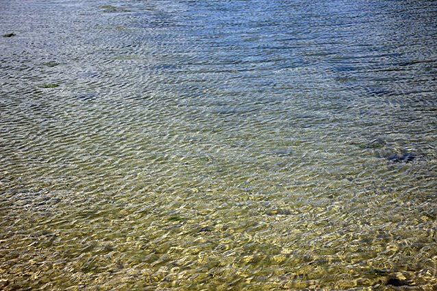 Bild: Anbaden am Bebraer Teich